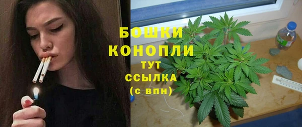 молекула духа Белоозёрский
