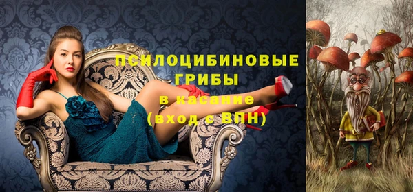 молекула духа Белоозёрский