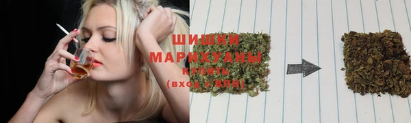 молекула духа Белоозёрский