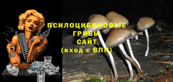 молекула духа Белоозёрский