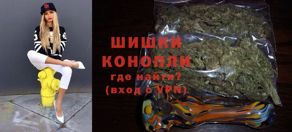 молекула духа Белоозёрский