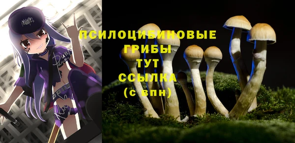 прущий лед Беломорск
