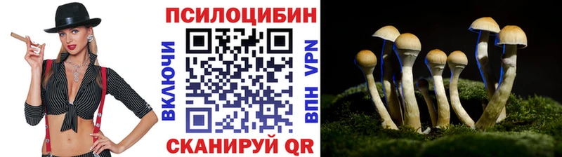 kraken онион  Обь  Псилоцибиновые грибы Psilocybine cubensis 