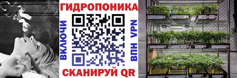 Каннабис THC 21%  как найти закладки  Обь 